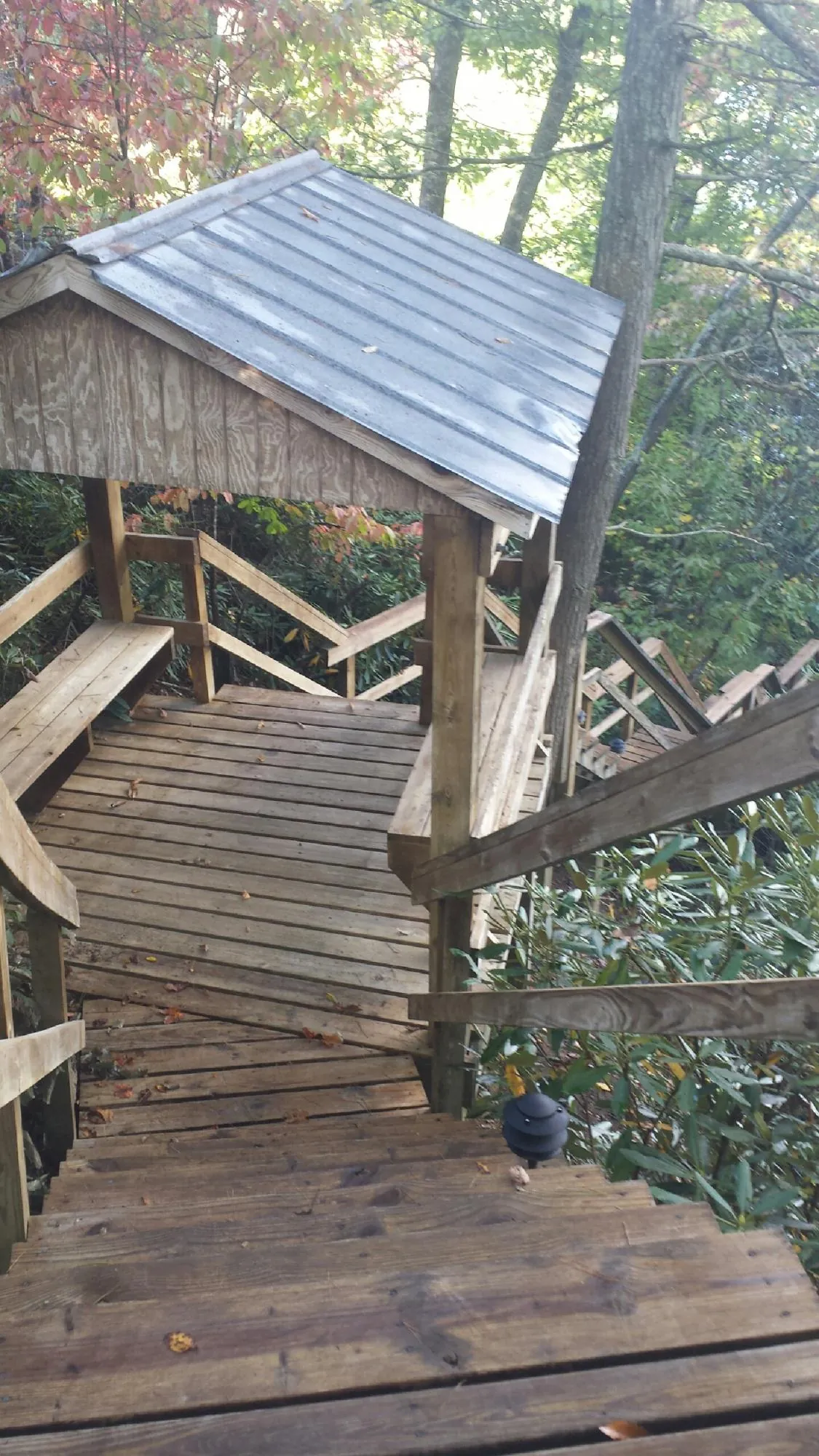 Metal roofed shelter over wooden steps on a wooded walkway — Skylight Repair & Installation work by our crew in Coupeville