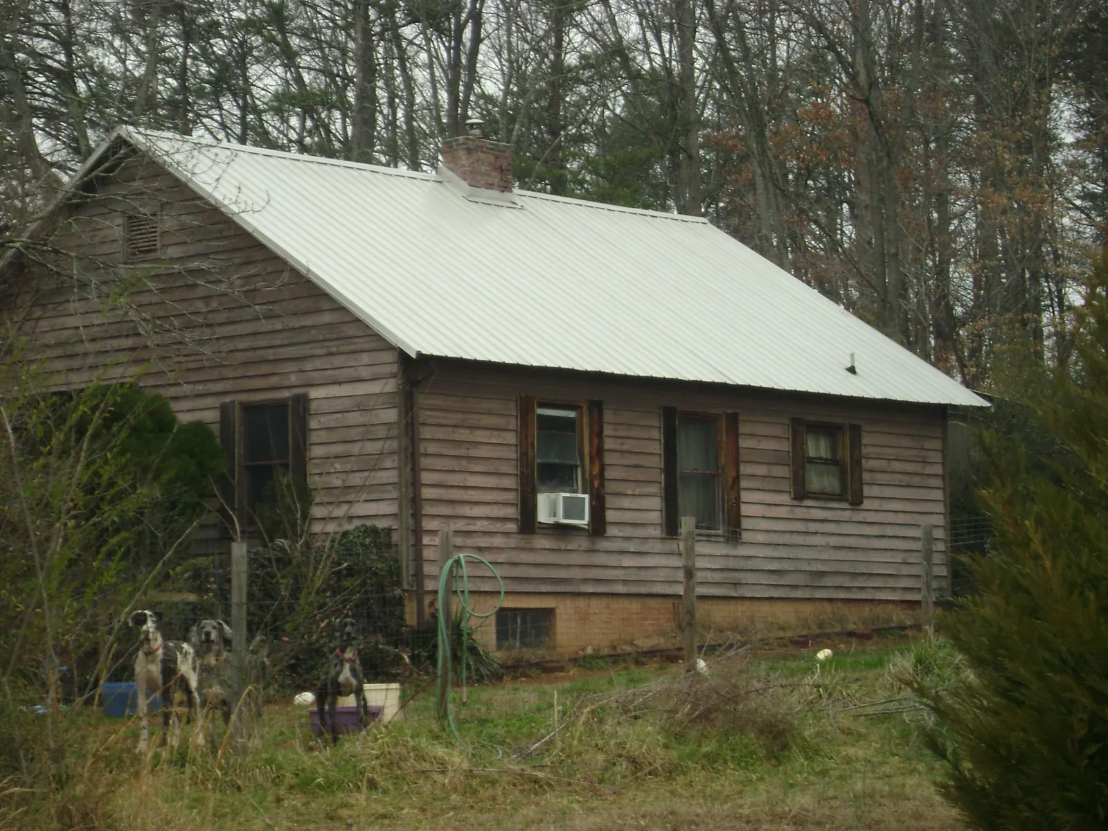 White metal roof on an old wood sided farmhouse, from a Metal Roof Installation job in Coupeville